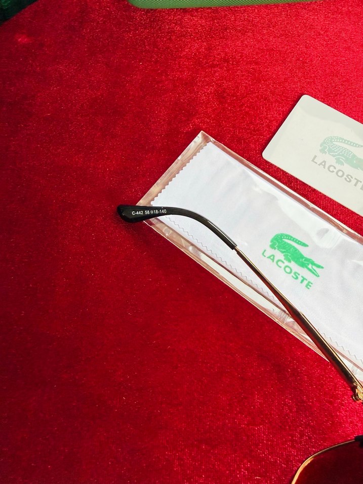 LACOSTE GÜNEŞ GÖZLÜĞÜ - Görsel 5