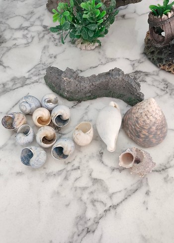 AKVARYUM İÇİN SÜSLER - Görsel 8