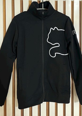Puma l