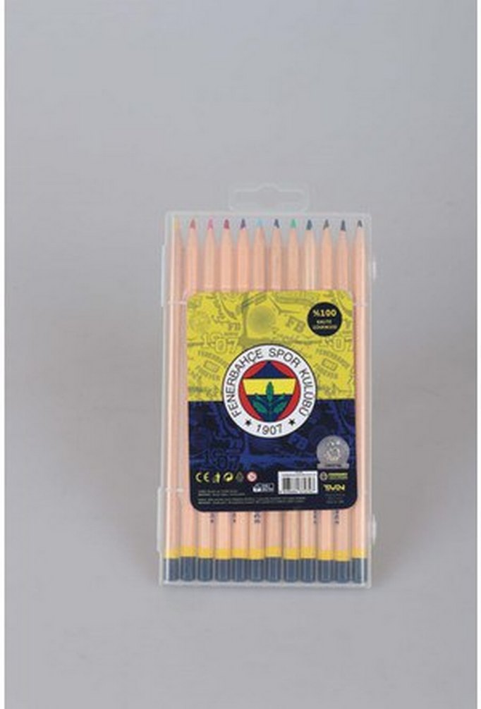 lisansli taraftar  12 lii 
kuru boyalar - Görsel 3