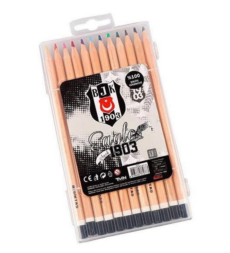 lisansli taraftar  12 lii 
kuru boyalar - Görsel 2