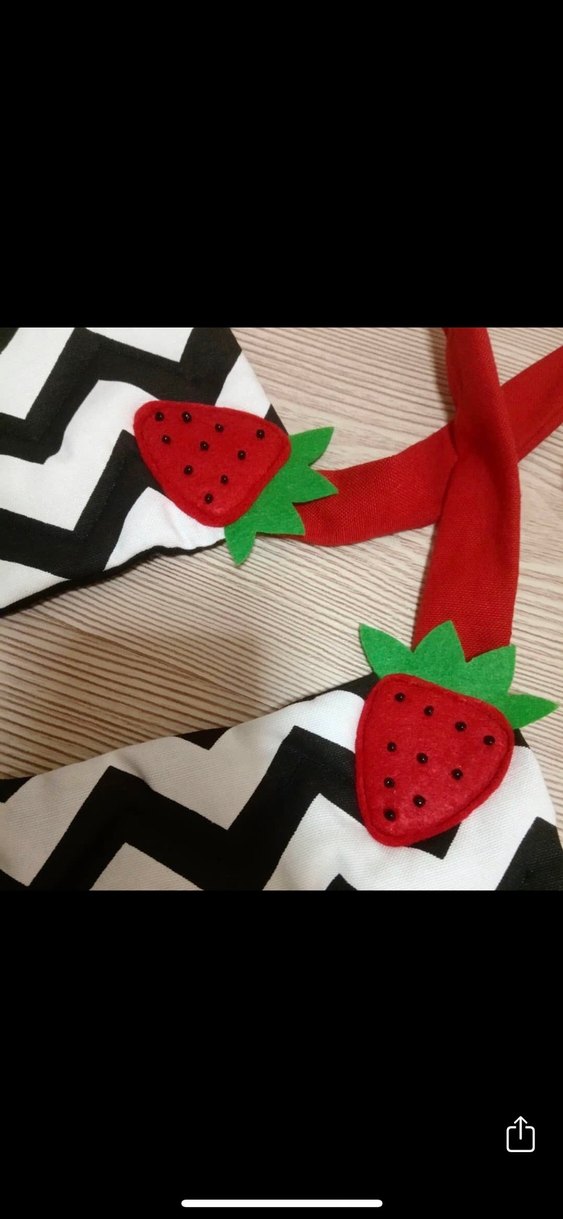 Çizgili ve Çilek Detaylı El Yapımı Set - Görsel 2