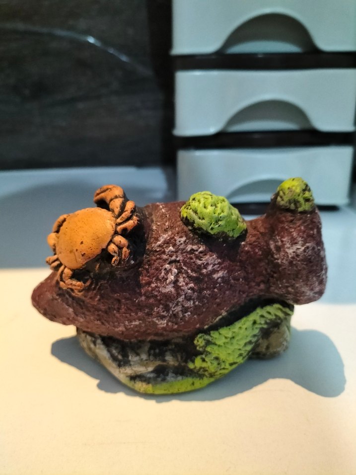 Çok Renkli Deniz Temalı Biblo - Görsel 2