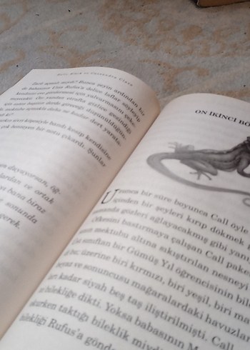 Demir Yıl - Holly Black - Görsel 2