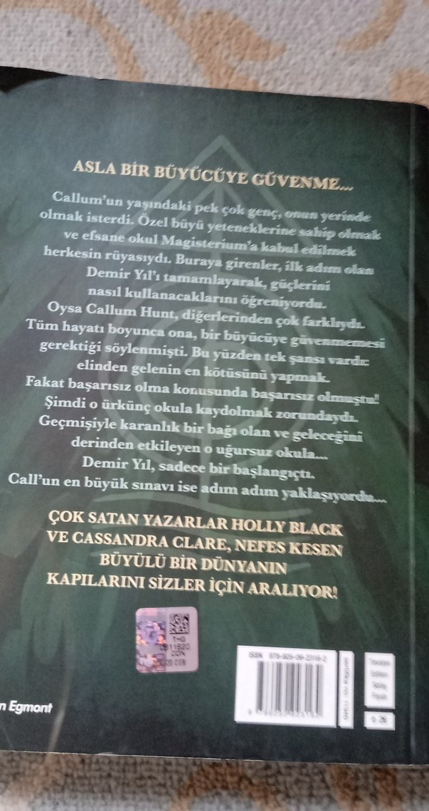 Demir Yıl - Holly Black - Görsel 3