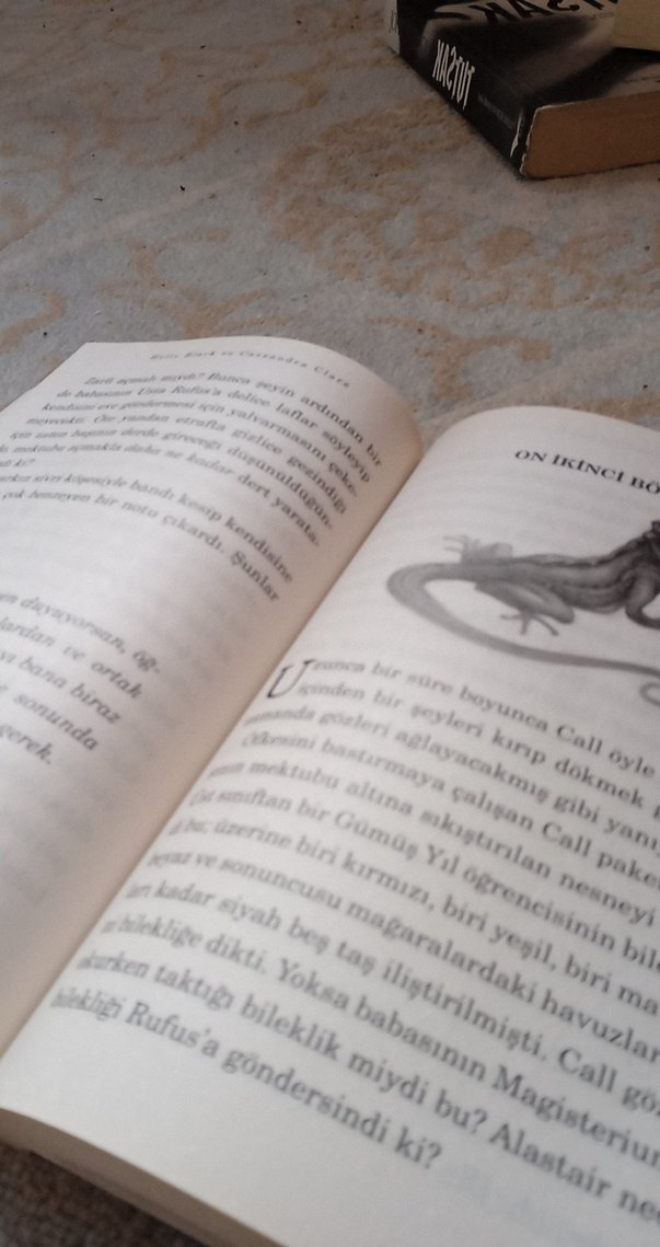 Demir Yıl - Holly Black - Görsel 2