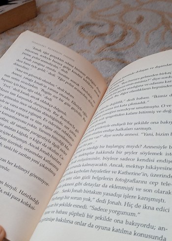 Kayıp Serisi - Kayıp - Görsel 2