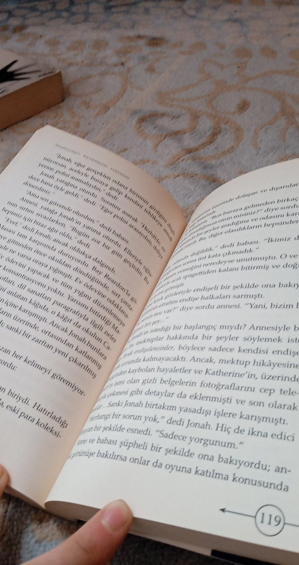 Kayıp Serisi - Kayıp - Görsel 2