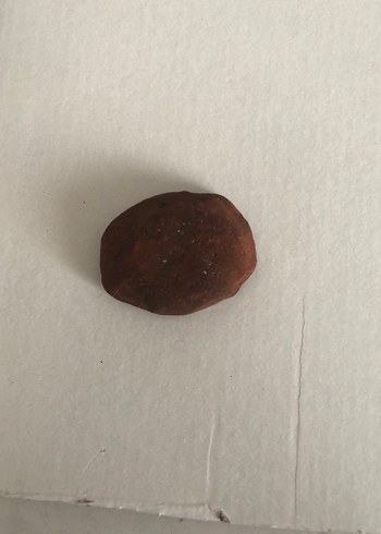 Koyu Kahverengi Kase - Görsel 3