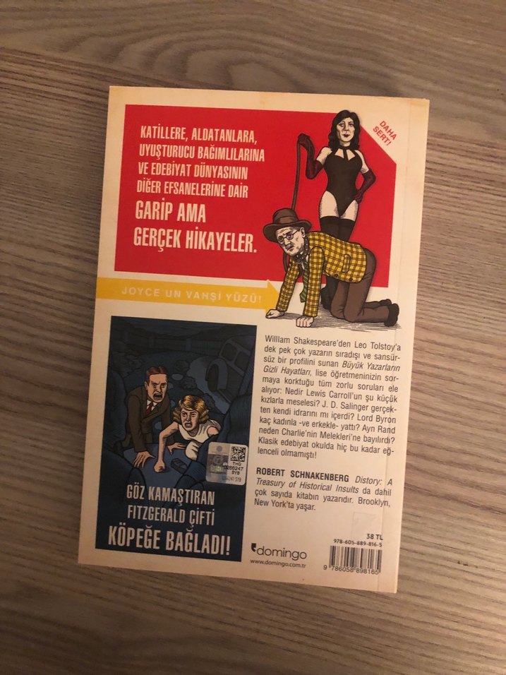 Büyük Yazarların Gizli Hayatları - Robert Schnakenberg - Görsel 2