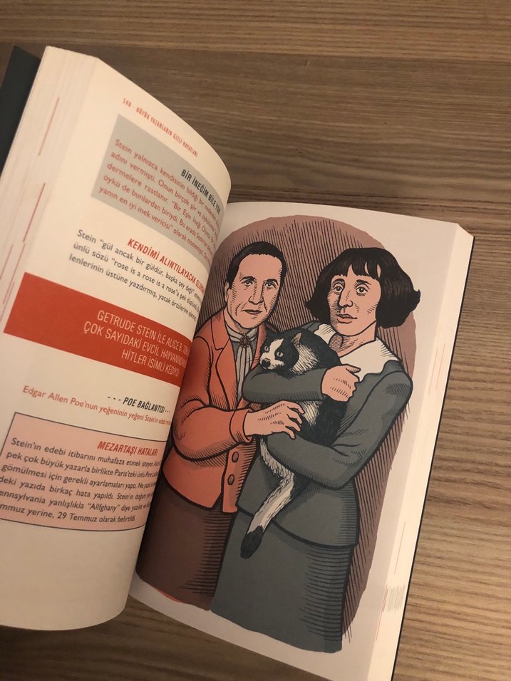 Büyük Yazarların Gizli Hayatları - Robert Schnakenberg - Görsel 3