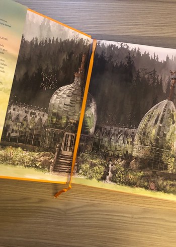 Harry Potter ve Sırlar Odası Ozel baski - Görsel 3