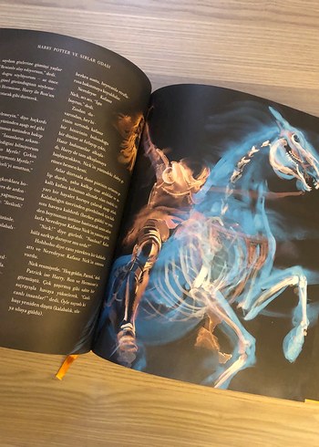 Harry Potter ve Sırlar Odası Ozel baski - Görsel 4