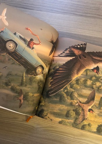 Harry Potter ve Sırlar Odası Ozel baski - Görsel 6