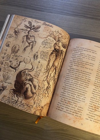 Harry Potter ve Sırlar Odası Ozel baski - Görsel 5