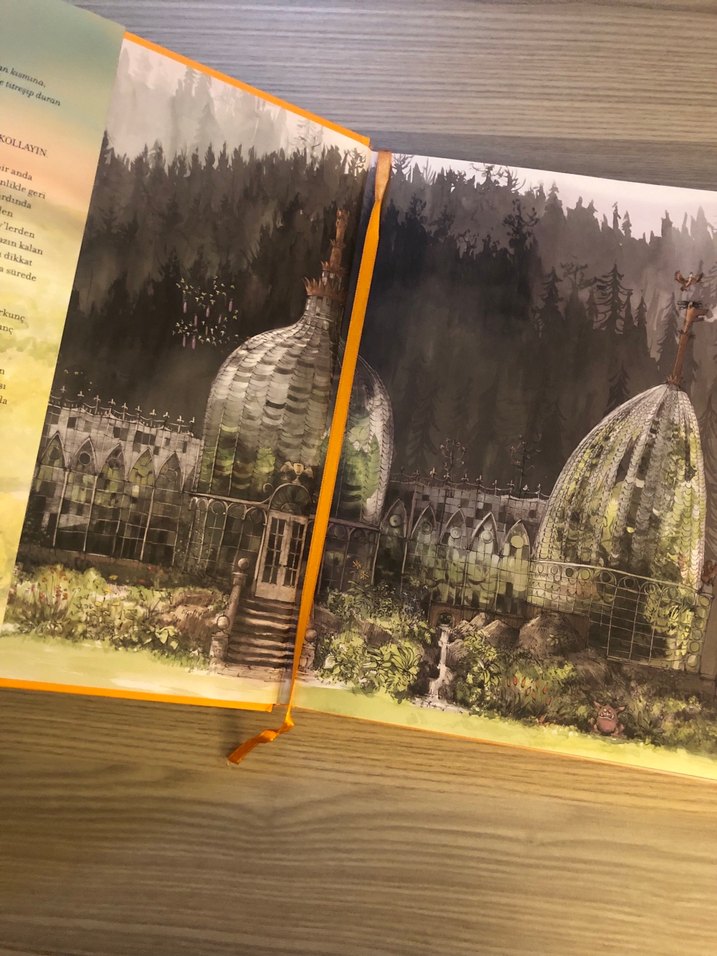 Harry Potter ve Sırlar Odası Ozel baski - Görsel 3