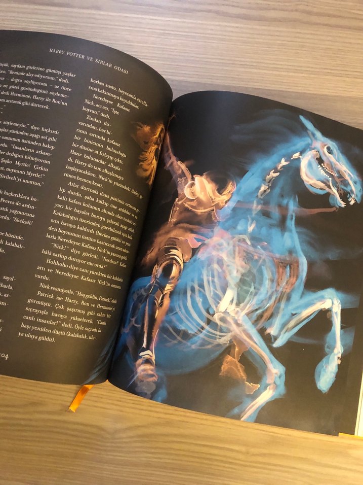 Harry Potter ve Sırlar Odası Ozel baski - Görsel 4