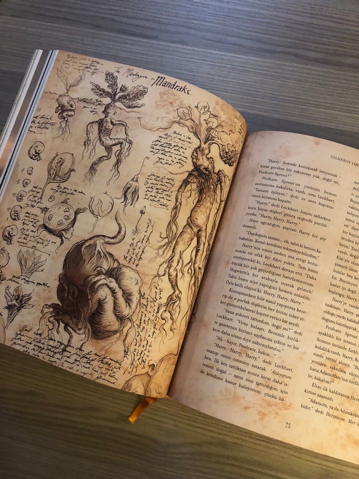 Harry Potter ve Sırlar Odası Ozel baski - Görsel 5