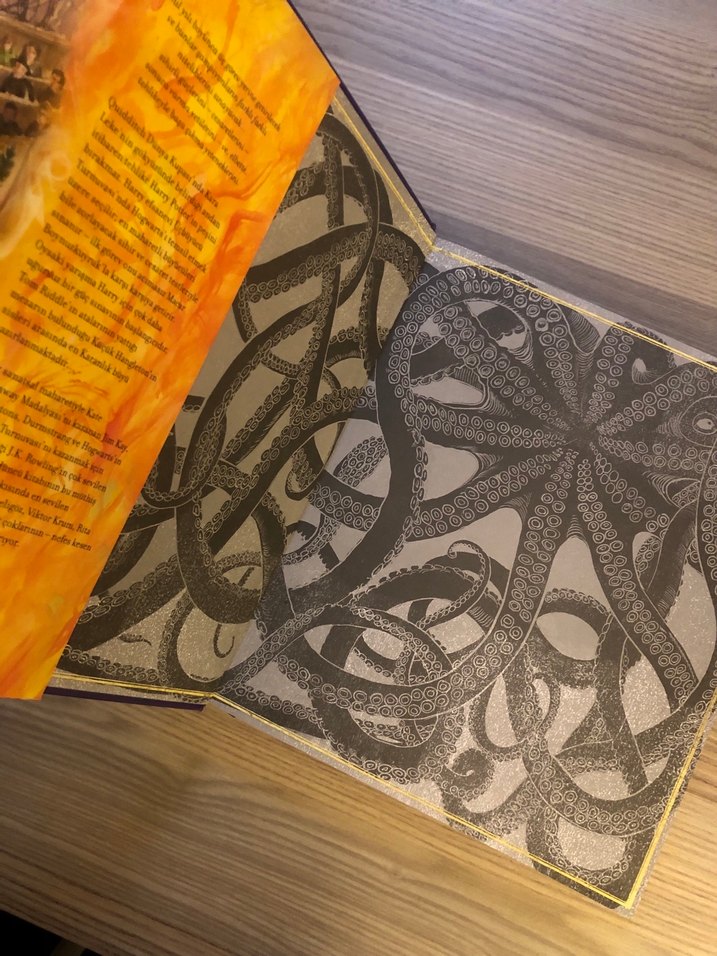 Harry Potter - Ateş Kadehi Ozel Baski - Görsel 3