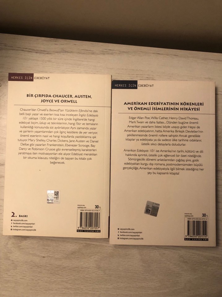 İngiliz Edebiyatı 101 & Amerikan Edebiyatı 101 Kitapları - Görsel 2