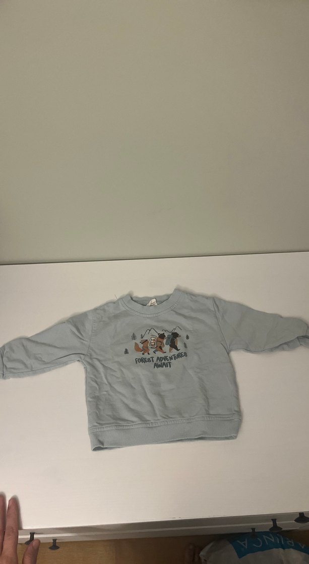 Yeşil Uzun Kollu Erkek bebek Sweatshirt - Görsel 2