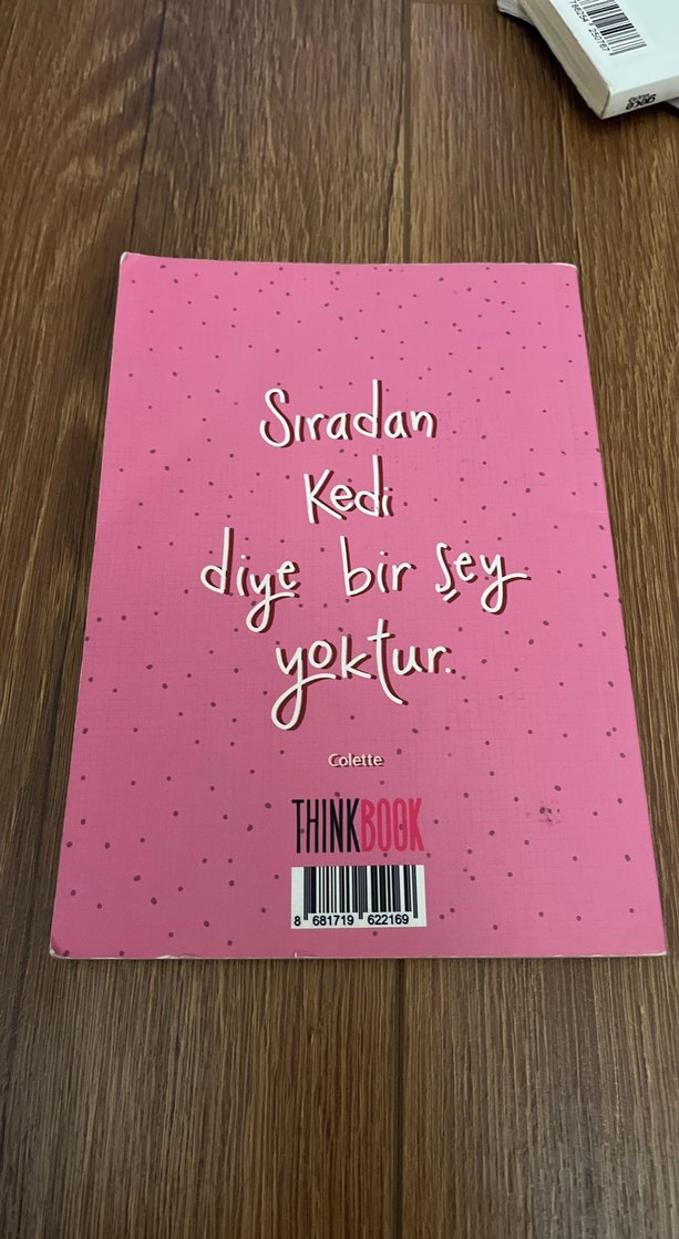 Kedili defter - Görsel 2