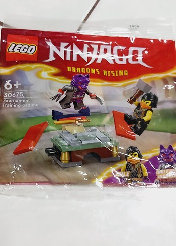 LEGO Ninjago Ejderhaların Yükselişi Eğitim Alanı - Görsel 3