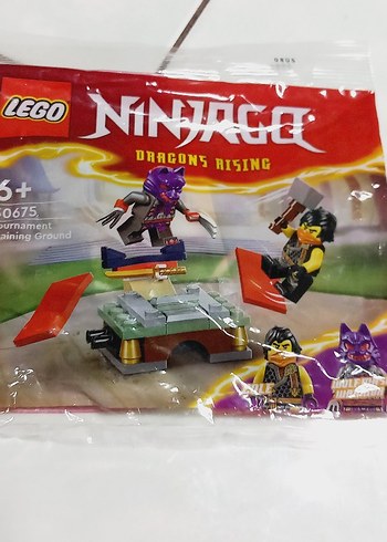 LEGO Ninjago Ejderhaların Yükselişi Eğitim Alanı - Görsel 2