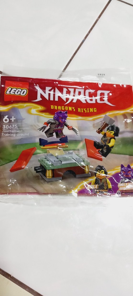 LEGO Ninjago Ejderhaların Yükselişi Eğitim Alanı - Görsel 3