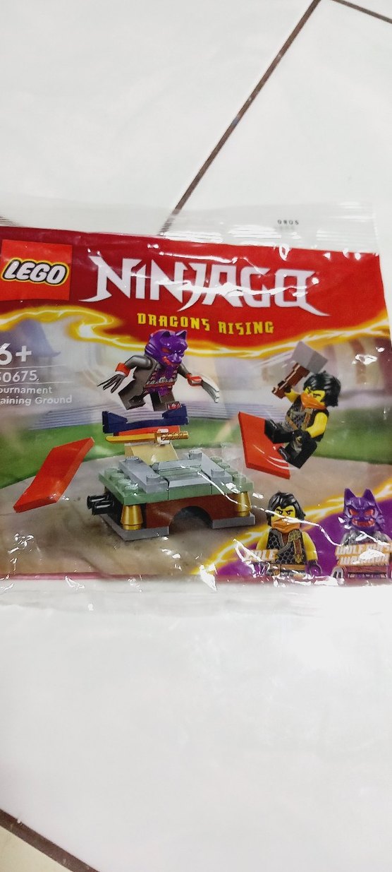 LEGO Ninjago Ejderhaların Yükselişi Eğitim Alanı - Görsel 2