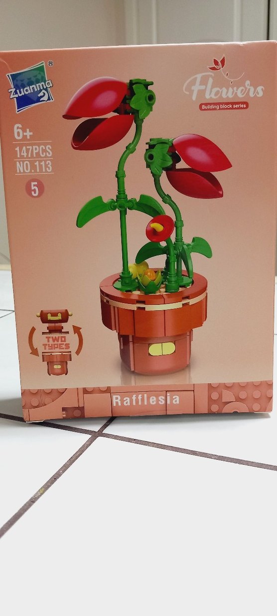 Lego Rafflesia bitkisi 147 Parça   kutusundadır - Görsel 5