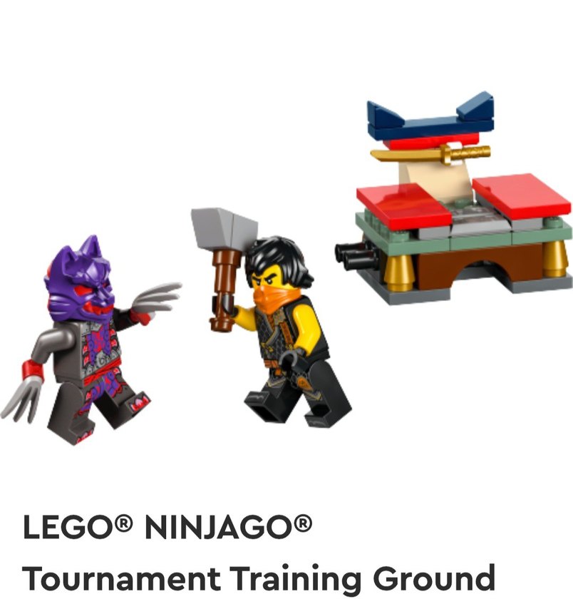 LEGO Ninjago Dragons Rising Turnuva Eğitim Alanı Seti - Görsel 5