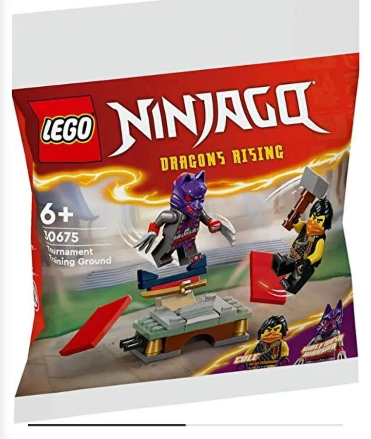 LEGO Ninjago Dragons Rising Turnuva Eğitim Alanı Seti - Görsel 2