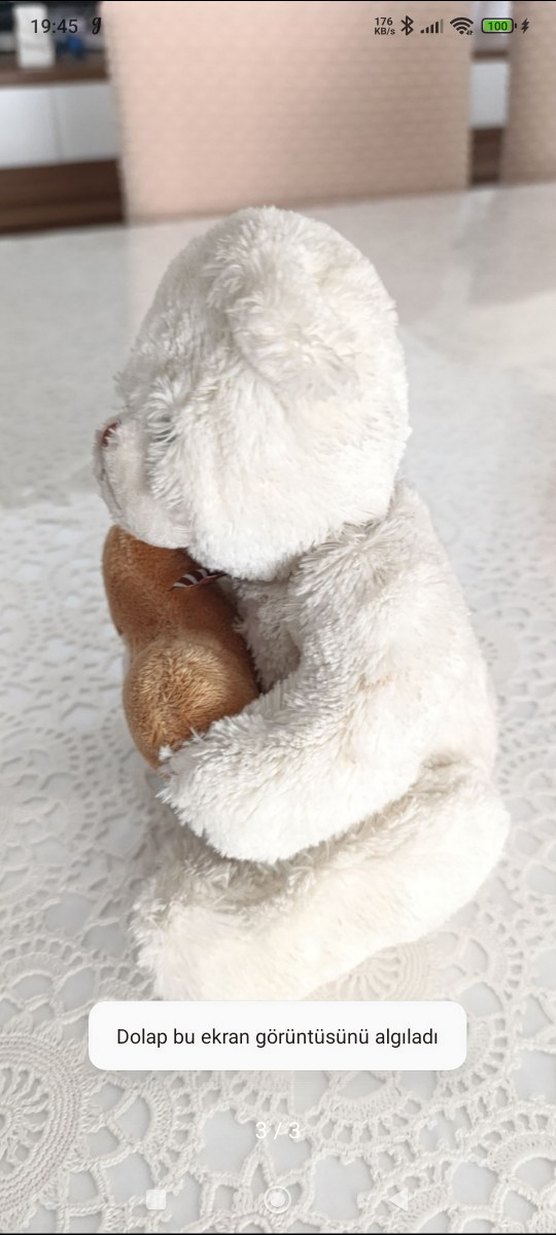 Kalp Detaylı Beyaz Peluş Ayıcık - Görsel 3