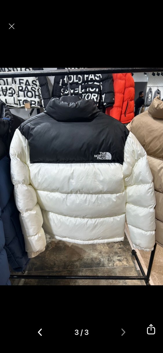 The North Face Erkek Beyaz Mont - Görsel 3