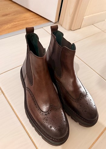 George Hogg
Kahverengi Erkek Bot - Görsel 2