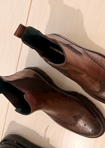 George Hogg
Kahverengi Erkek Bot - Görsel 3