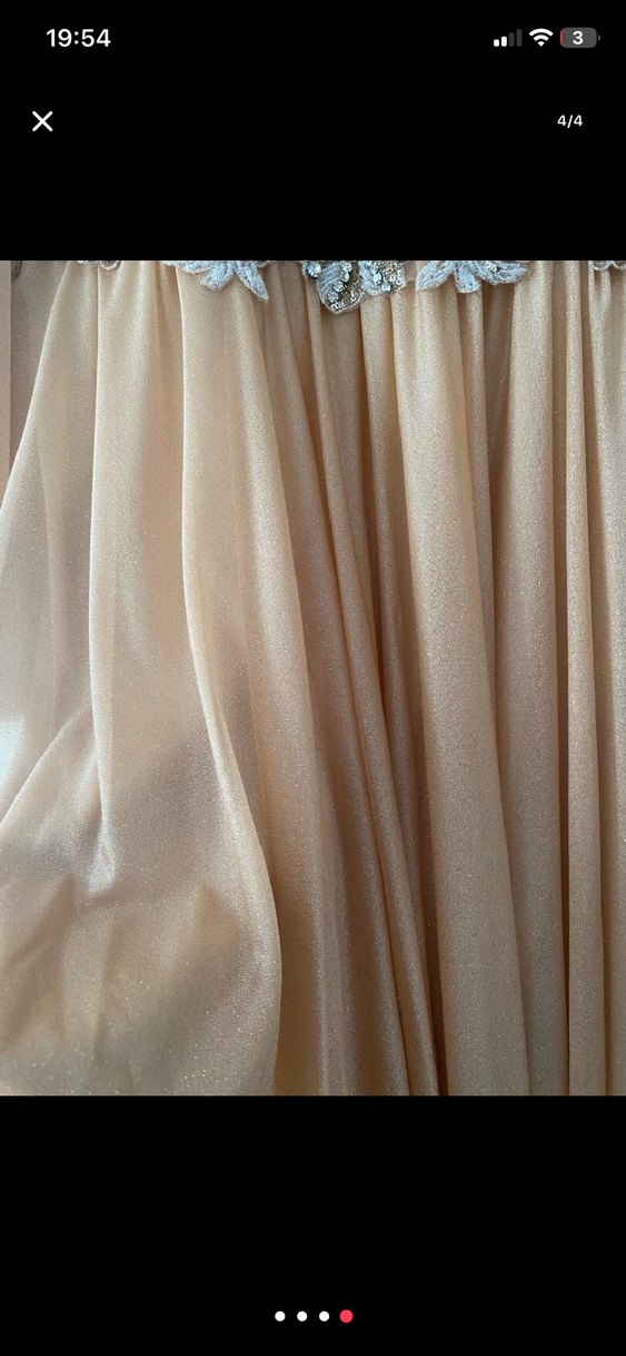 Bej İşlemeli Piliseli Uzun Abiye Elbise - Görsel 4