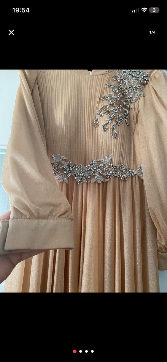 Bej İşlemeli Piliseli Uzun Abiye Elbise - Görsel 2