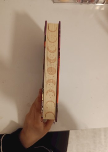 Sezen Aksın - Ay Çarpması Romanı Ve serceyi öldürmek - Görsel 4