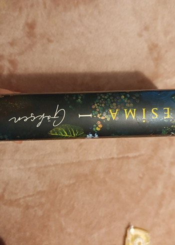 Gökcen- Unutulan Çiçekler Romanı Cilt 1 - Görsel 2