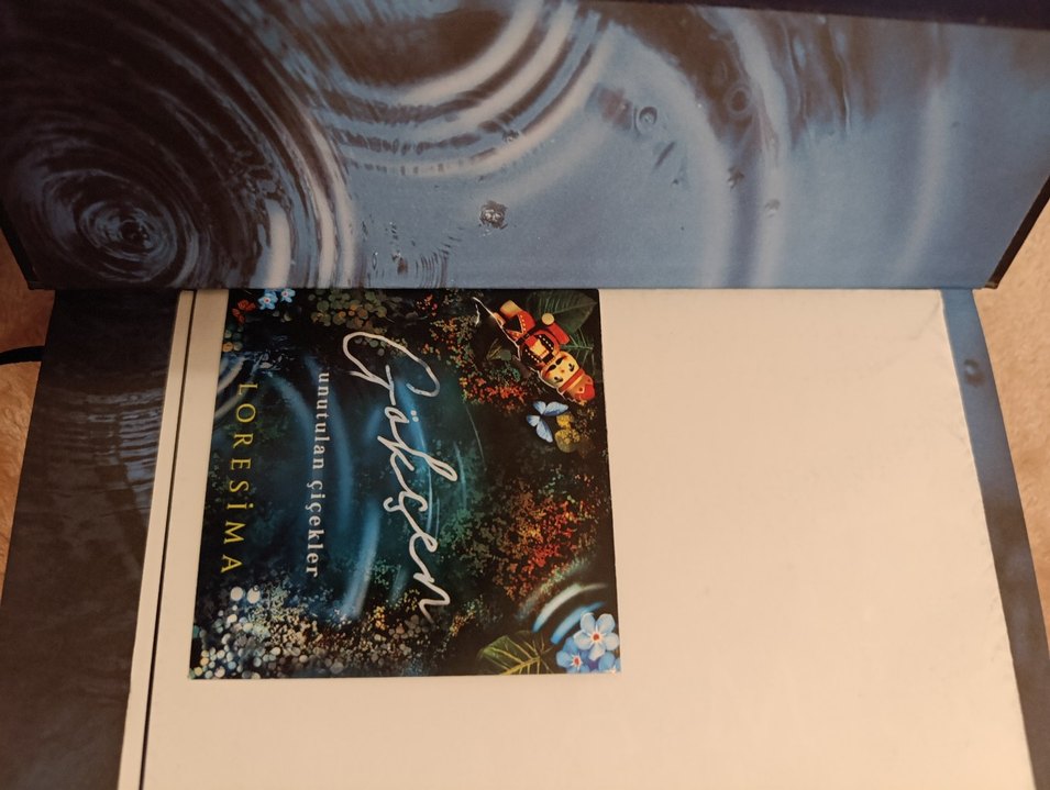 Gökcen- Unutulan Çiçekler Romanı Cilt 1 - Görsel 3