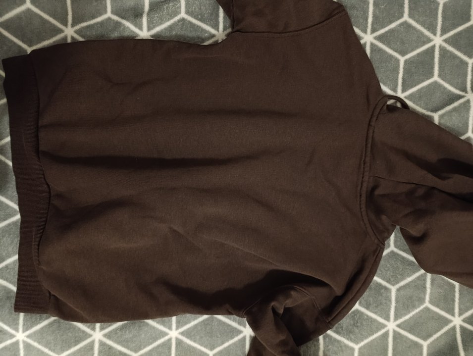 Kahverengi Kadın Kapüşonlu Sweatshirt - Görsel 4