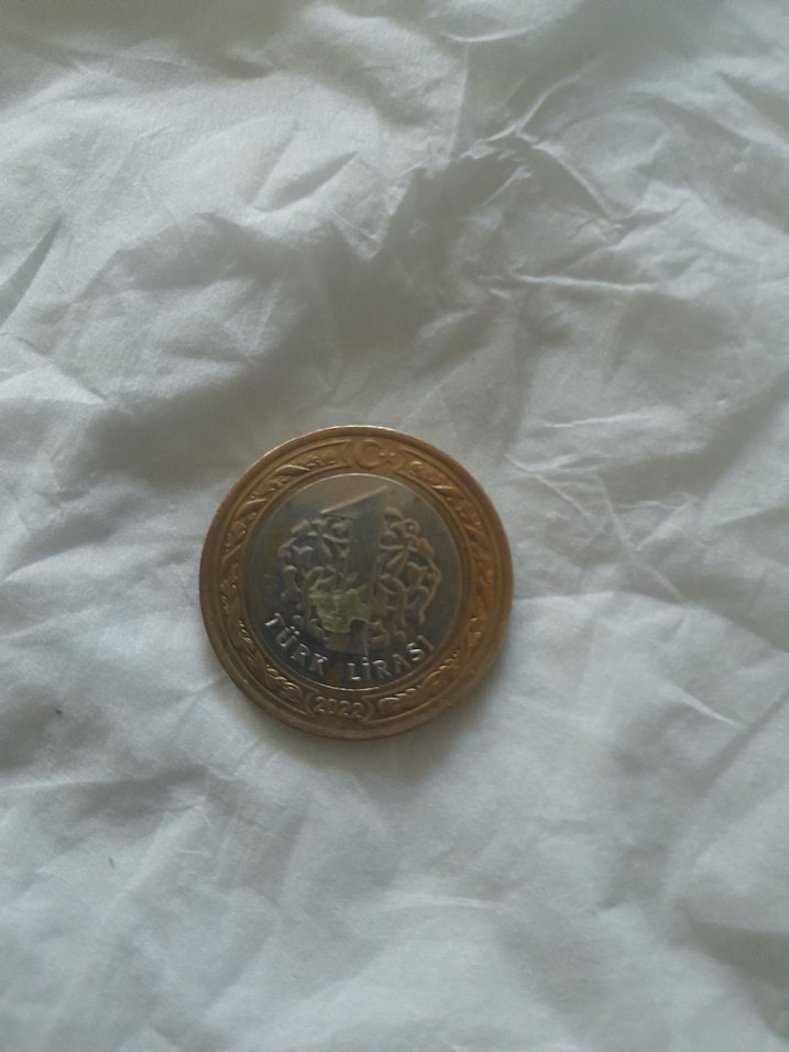 KOLEKSİYONLUK BÜYÜK TAARRUZ 100.YIL - Görsel 2