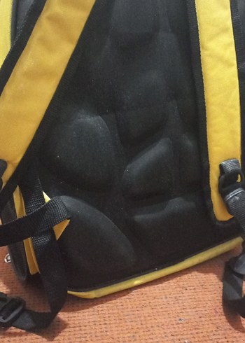 Sarı Şeffaf Kedi Taşıma Sırt Çantası - Görsel 7