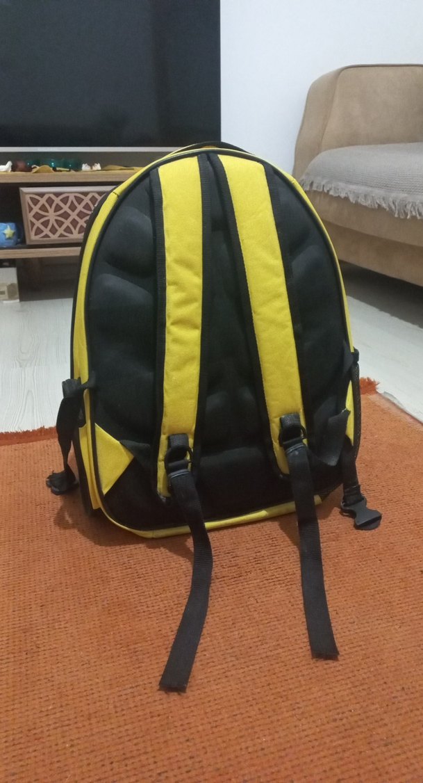 Sarı Şeffaf Kedi Taşıma Sırt Çantası - Görsel 4