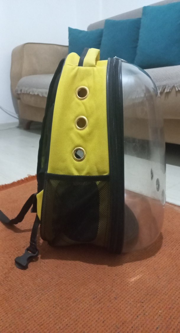 Sarı Şeffaf Kedi Taşıma Sırt Çantası - Görsel 3