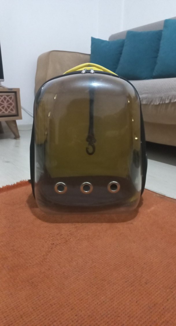 Sarı Şeffaf Kedi Taşıma Sırt Çantası - Görsel 2