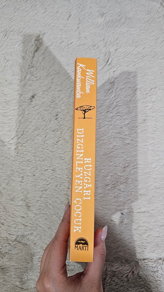 Rüzgarı Dizginleyen Çocuk - William Kaukawamba - Görsel 3