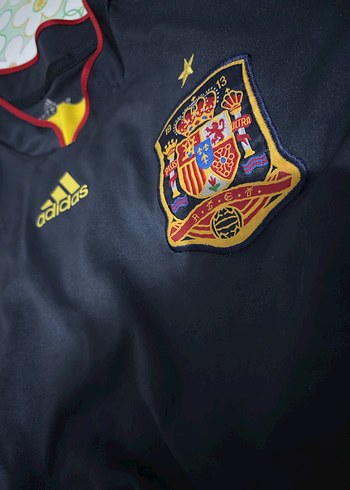 Torres İspanya Milli Takım - Görsel 6